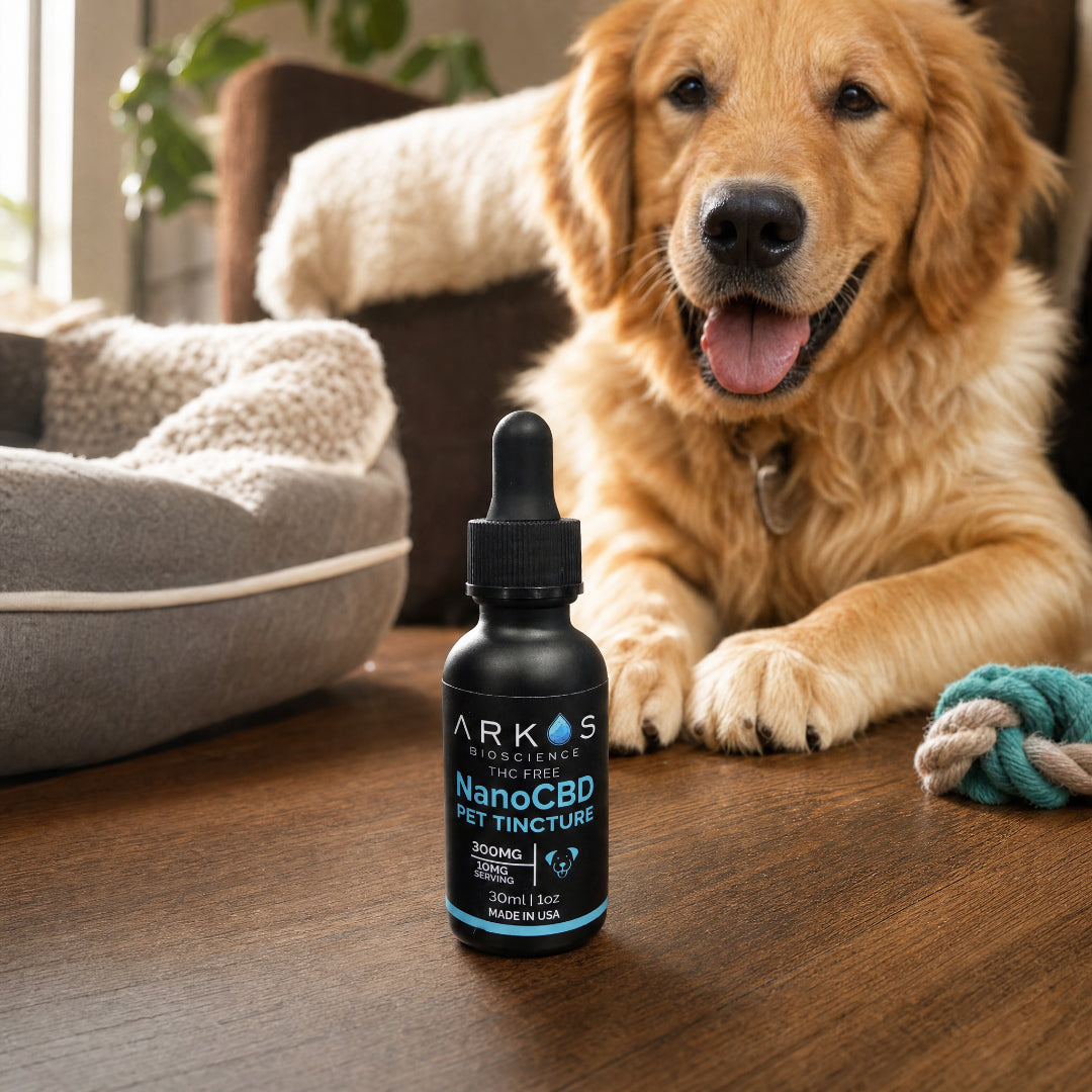 NanoCBD Pet Tincture with dog companion